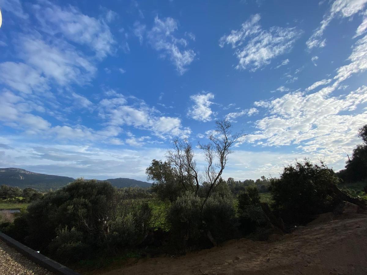 Porto-Vecchio, Luxe Et Lumiere, Stanatura Zewnętrze zdjęcie